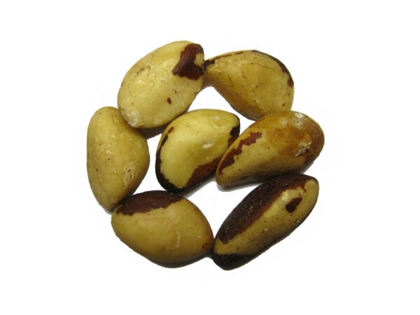 brazil_nuts_omo-g